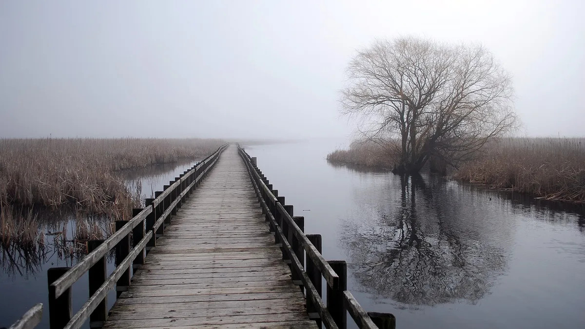 Point Pelee National Park in Canada