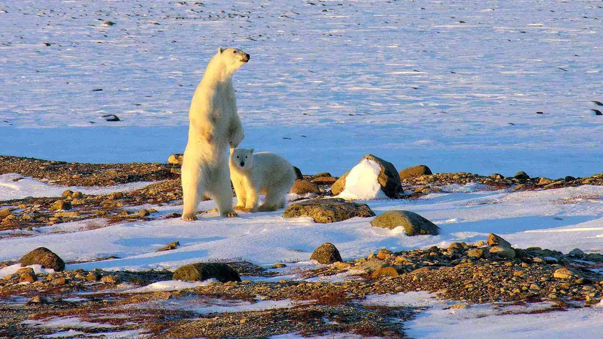 Wapusk National Park in Canada