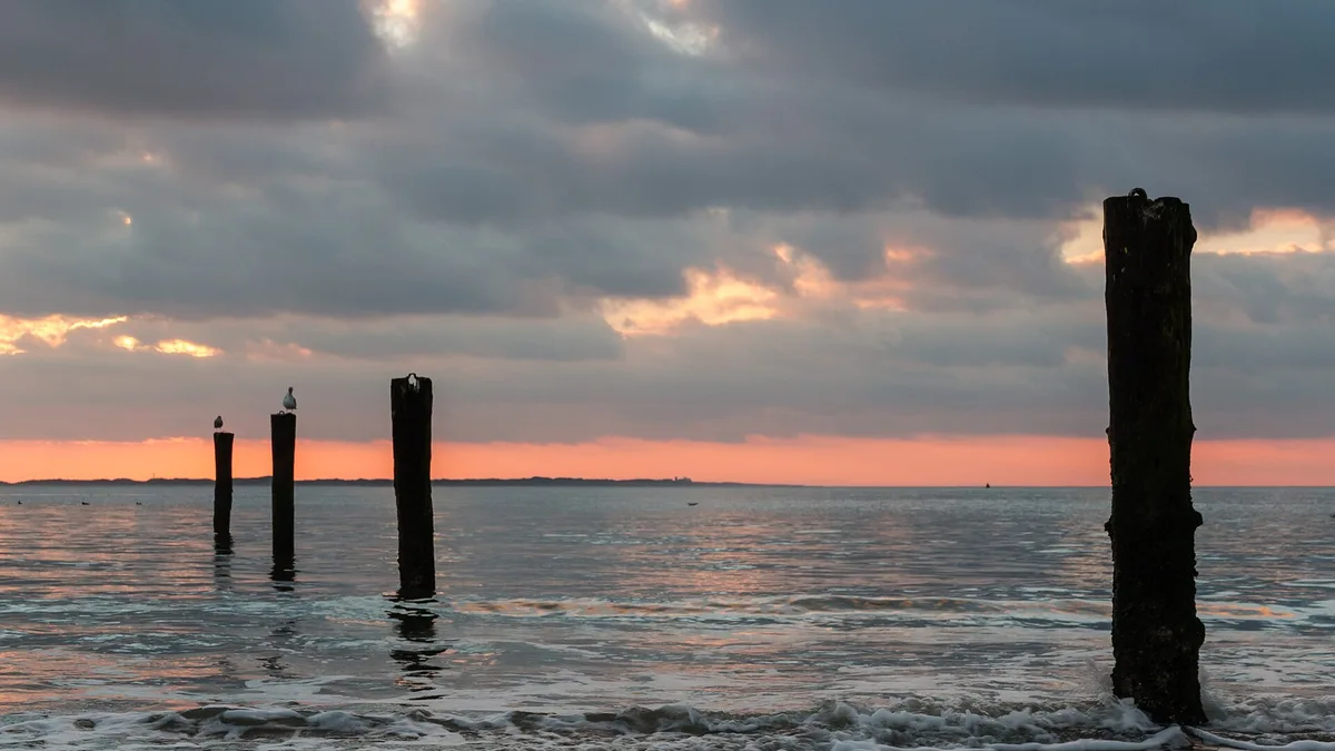Lower Saxon Wadden Sea National Park in Germany