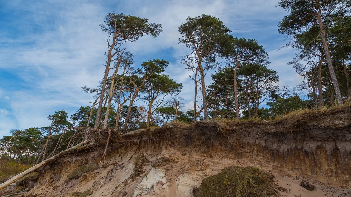 Western Pomerania Lagoon Area National Park in Germany