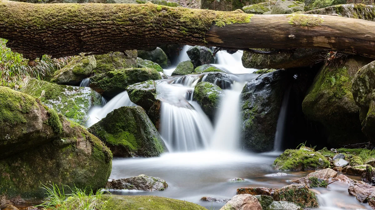 Harz National Park in Germany