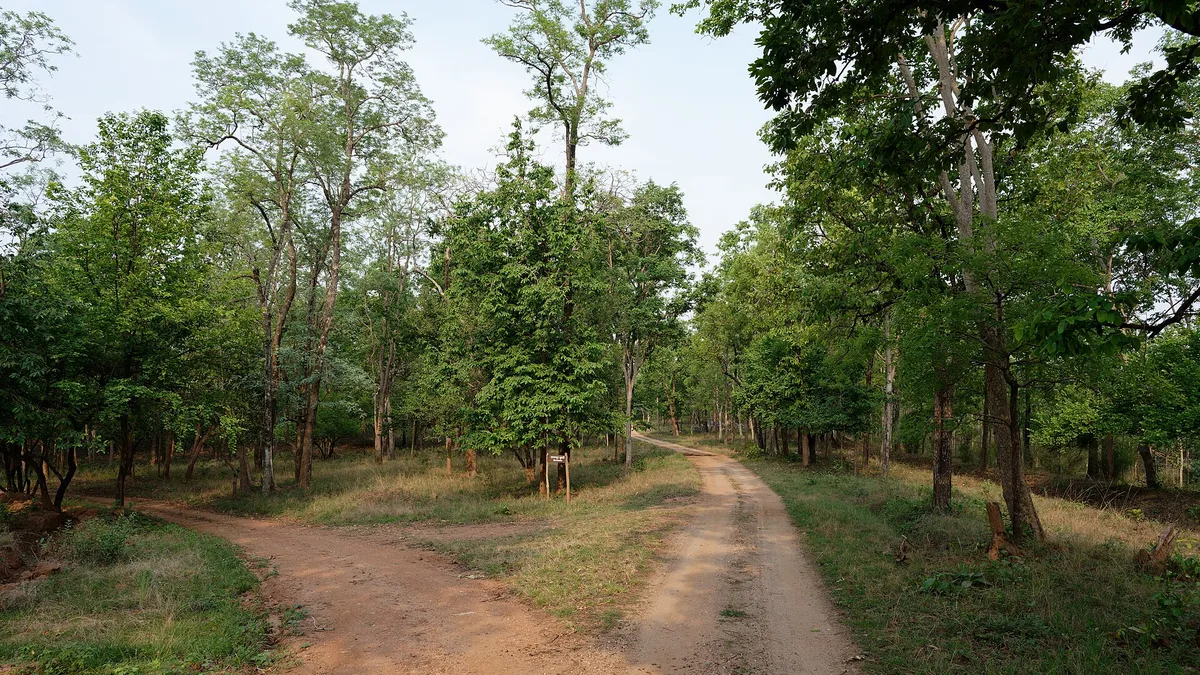 Pench National Park in India