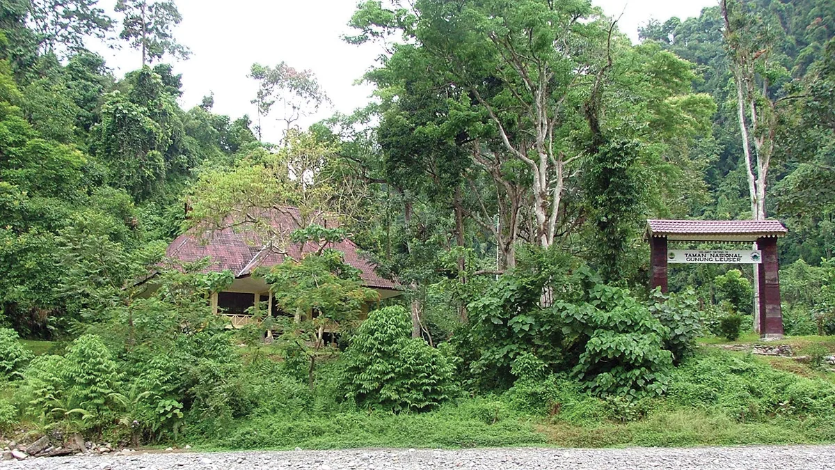 Gunung Leuser National Park in Indonesia