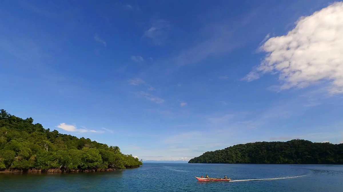 Teluk Cenderawasih National Park in Indonesia