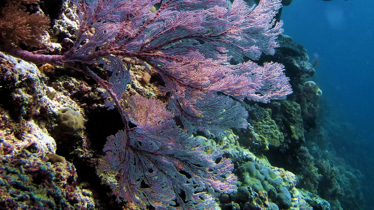 Taka Bonerate National Park in Indonesia