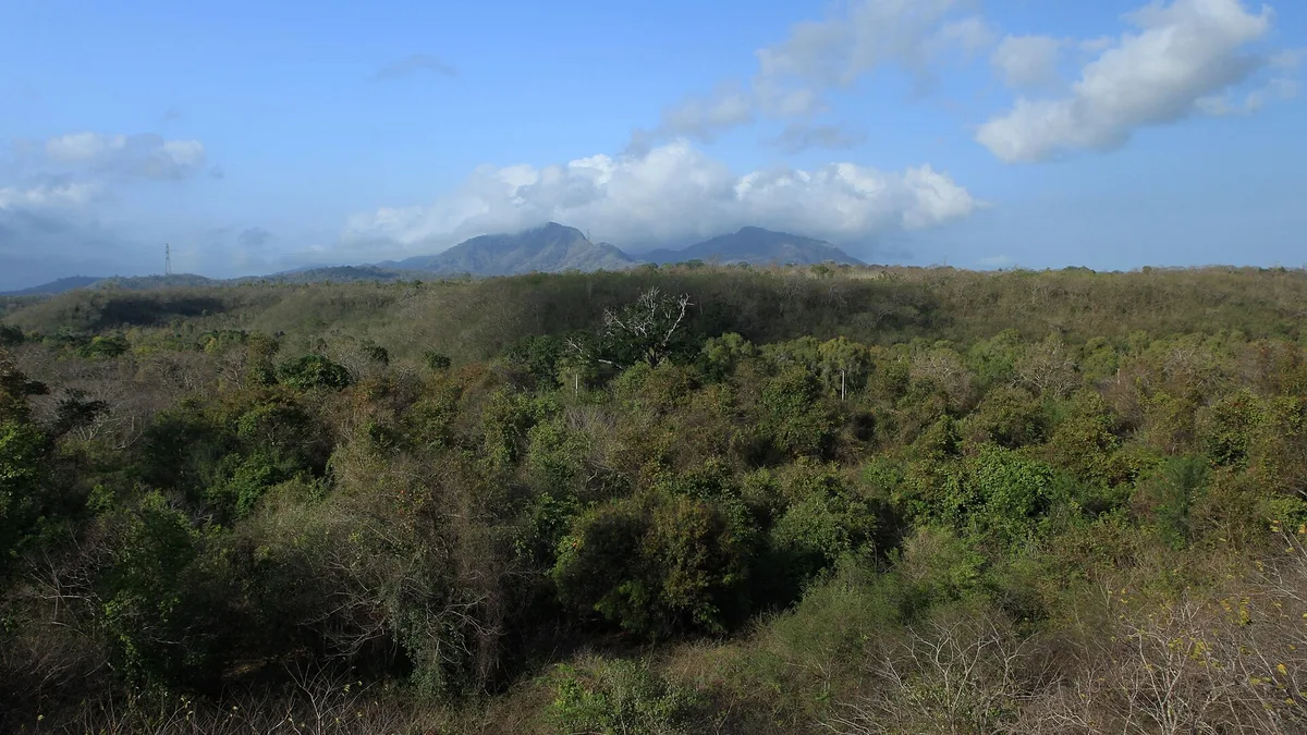 West Bali National Park in Indonesia