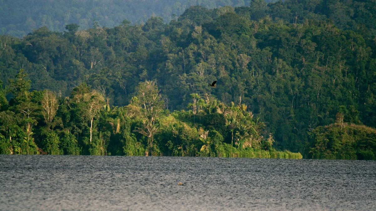 Lore Lindu National Park in Indonesia