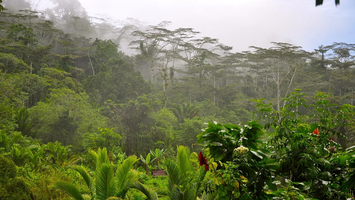 Manusela National Park in Indonesia