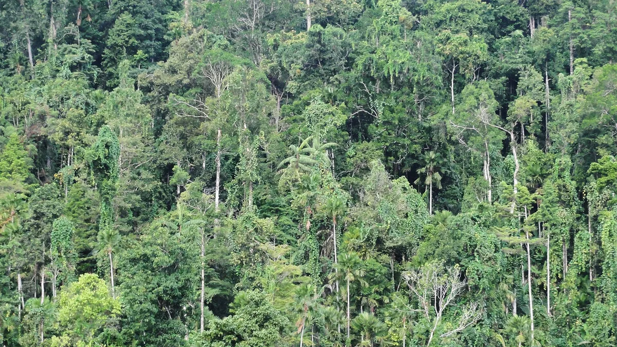 Aketajawe-Lolobata National Park in Indonesia