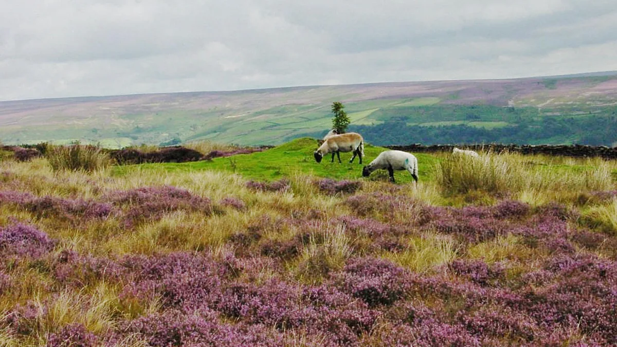 North York Moors National Park in United Kingdom