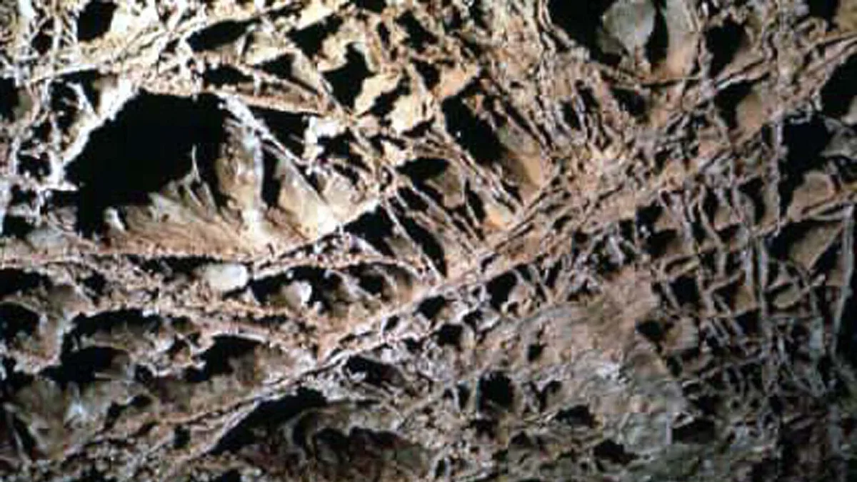 Wind Cave National Park in United States
