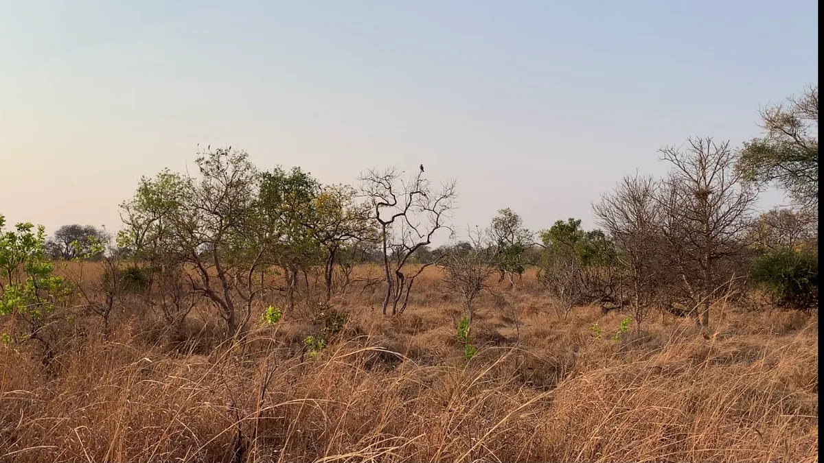 Kafue National Park in Zambia