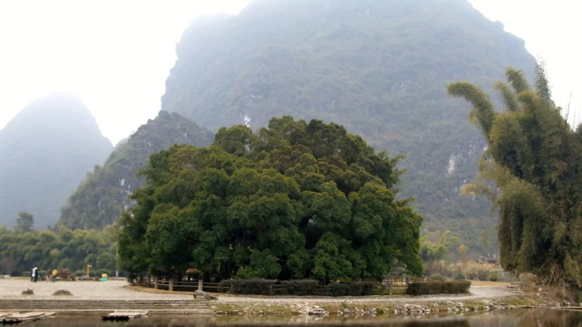 Banyan Tree Lijiang in China