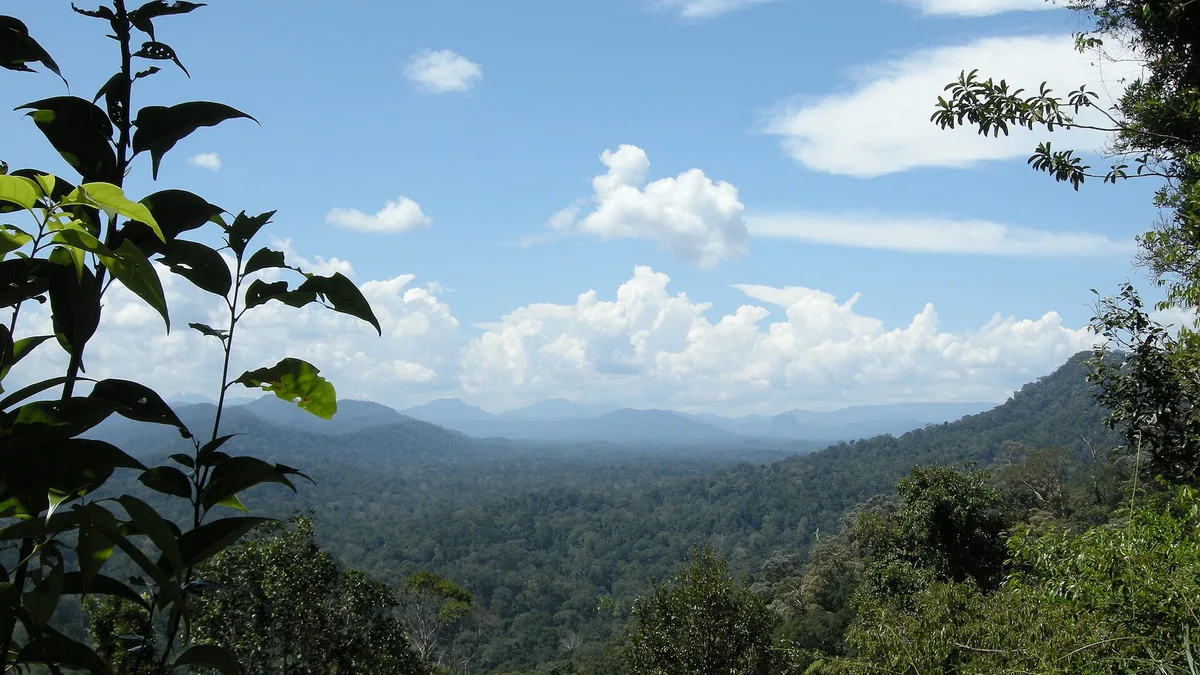 Mutiara Taman Negara in Malaysia