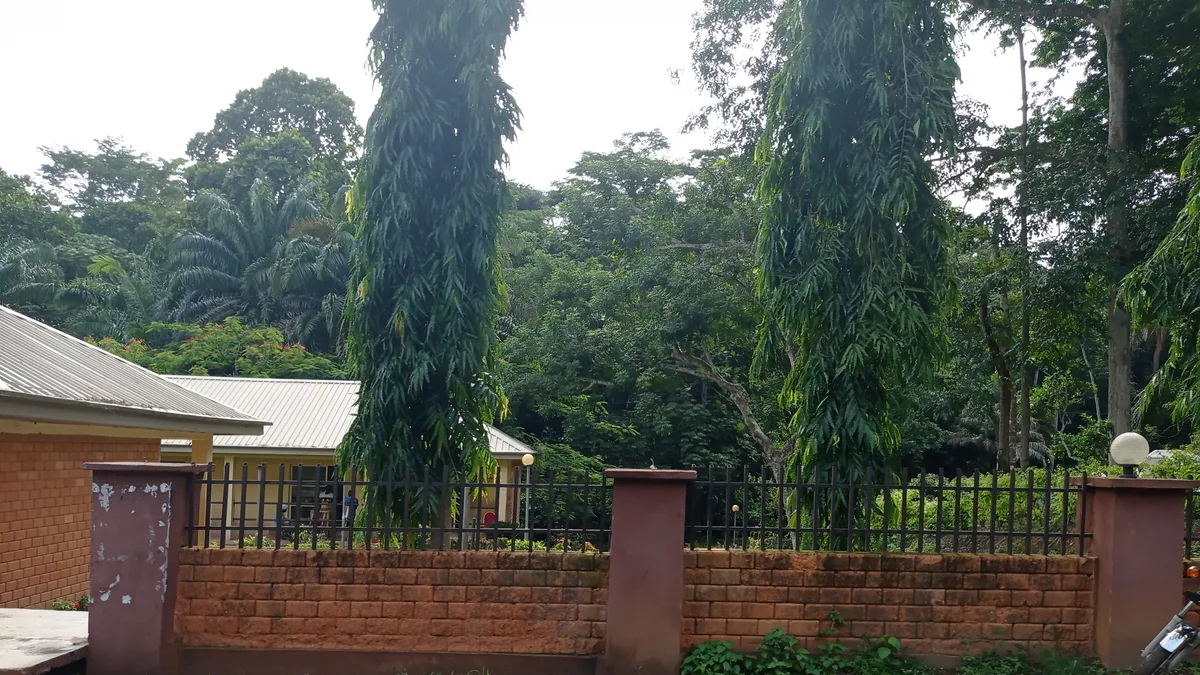 Ikogosi Warm Springs Resort in Nigeria
