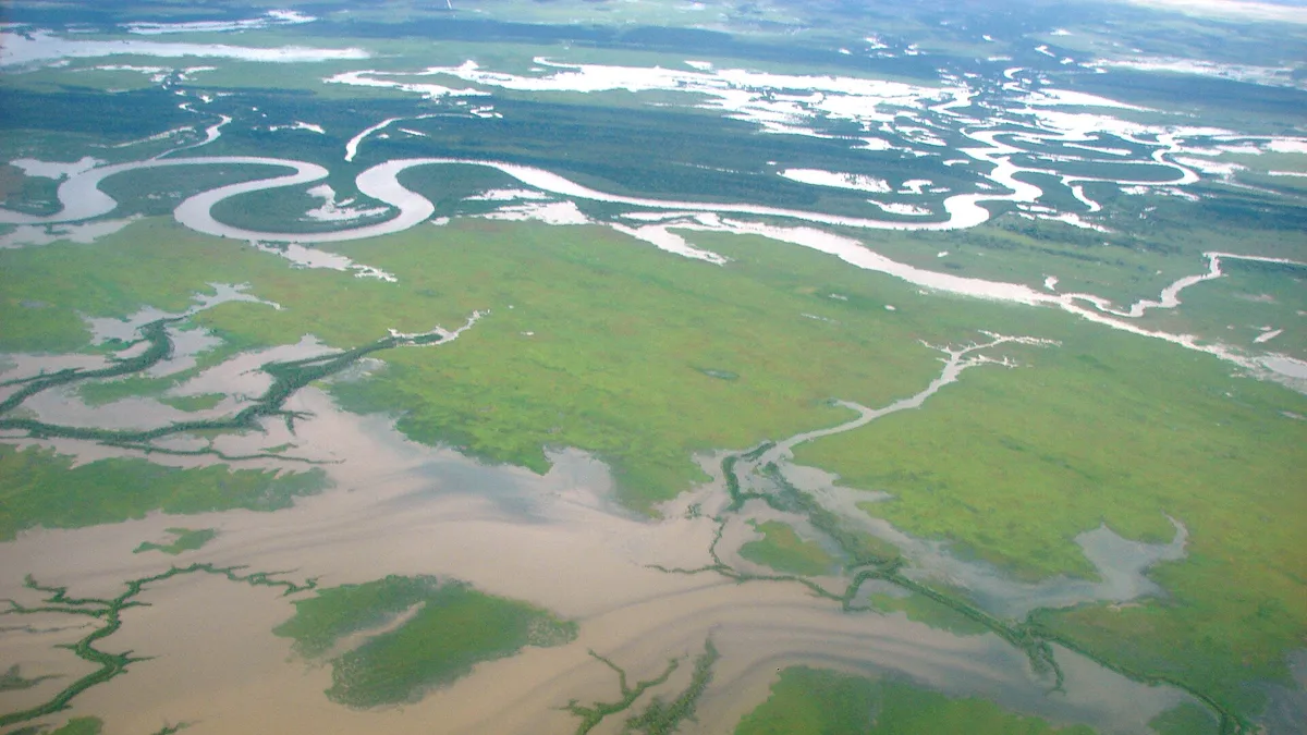Mitchell River in Australia