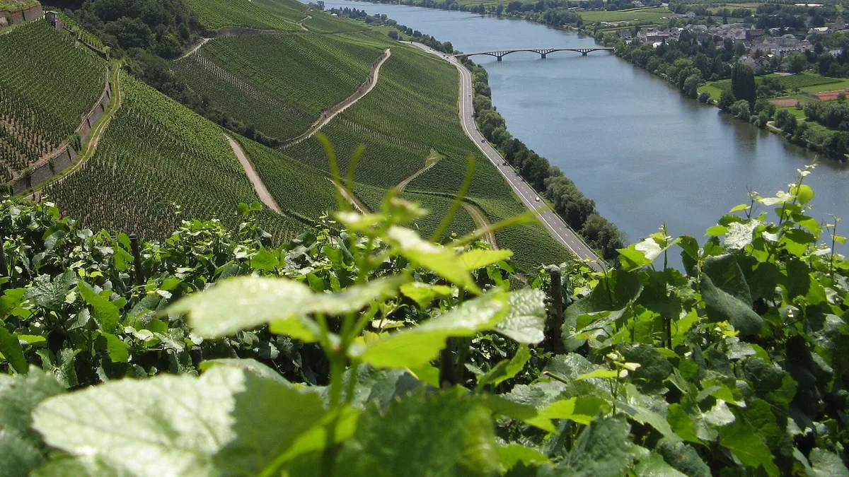 Moselle River in Germany