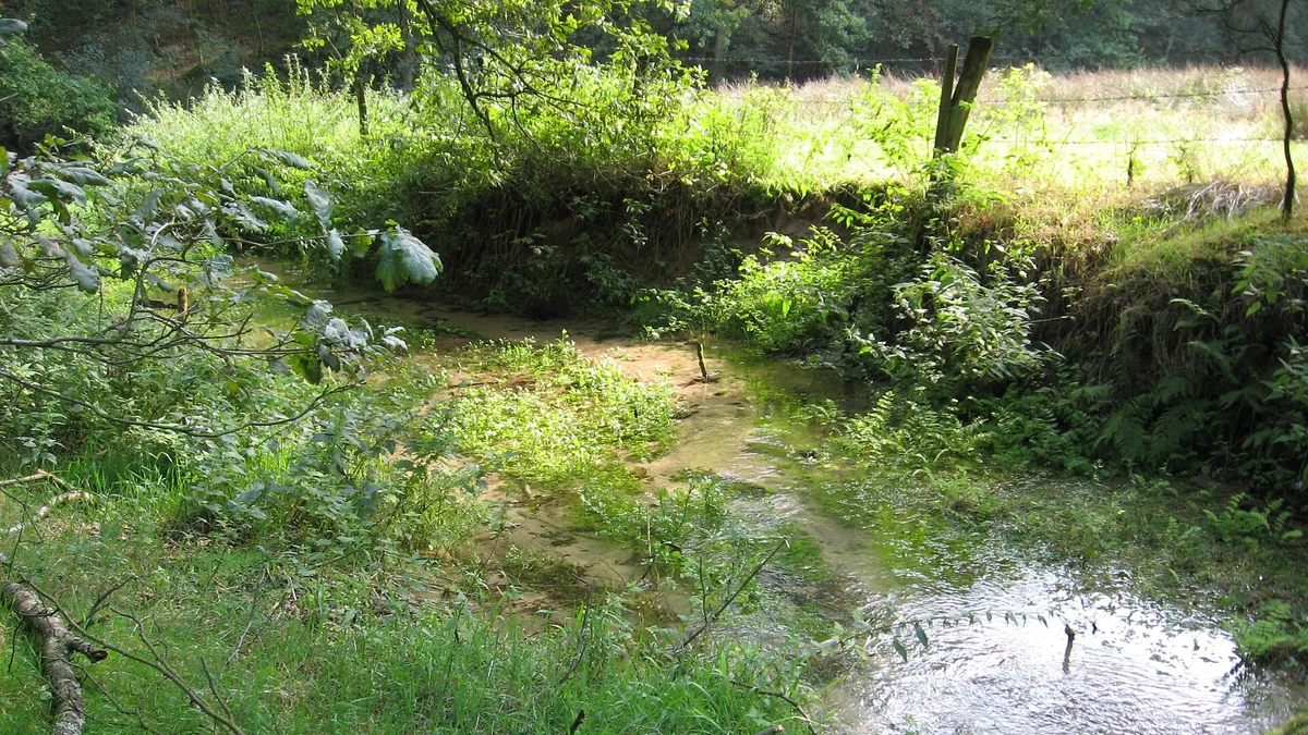 Ems River in Germany