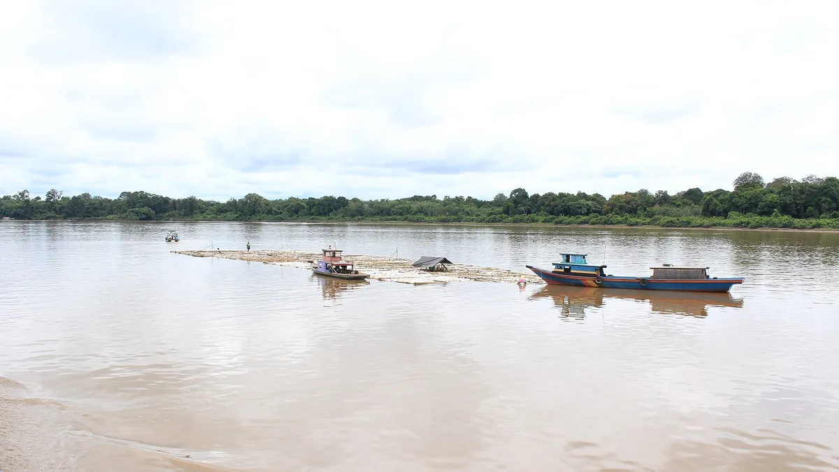 Barito River in Indonesia