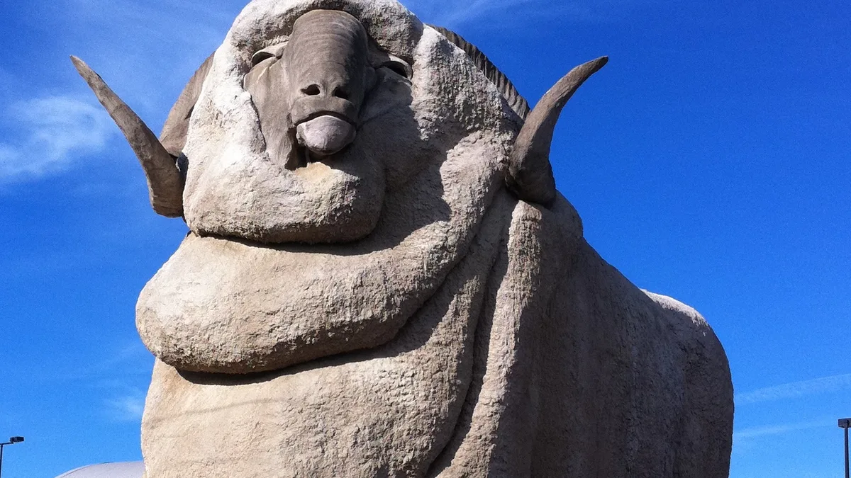 Big Merino in Australia