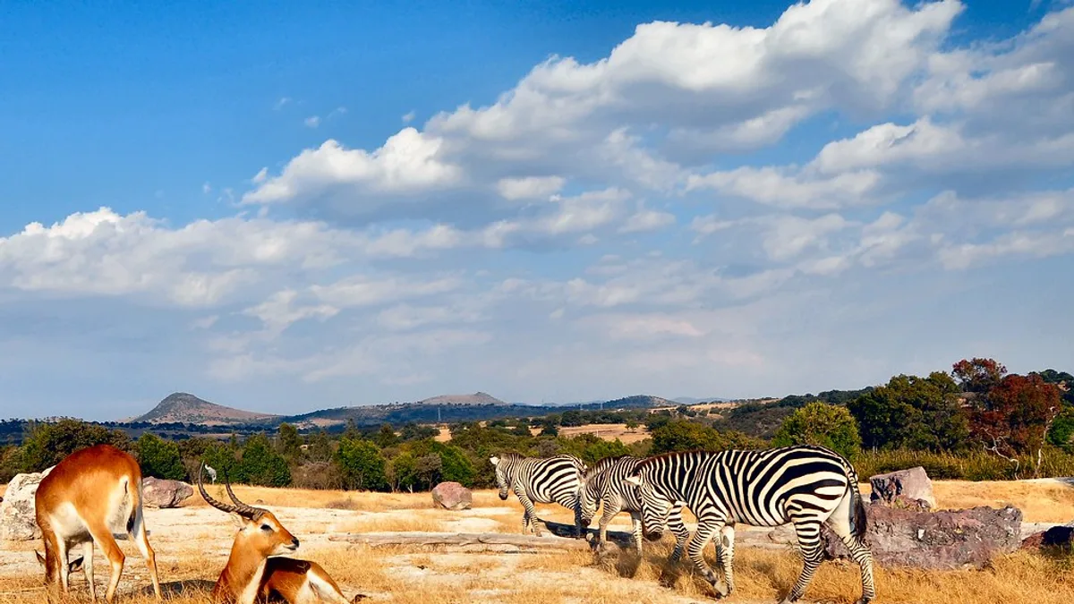Africam Safari in Mexico