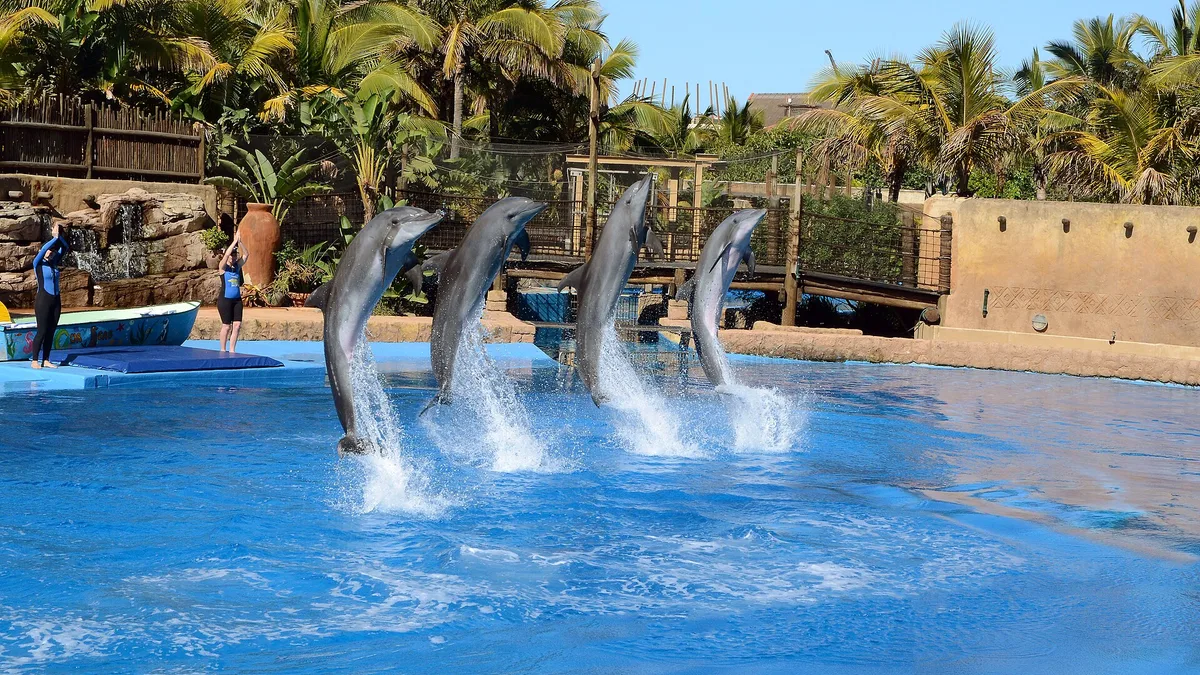 uShaka Marine World in South Africa