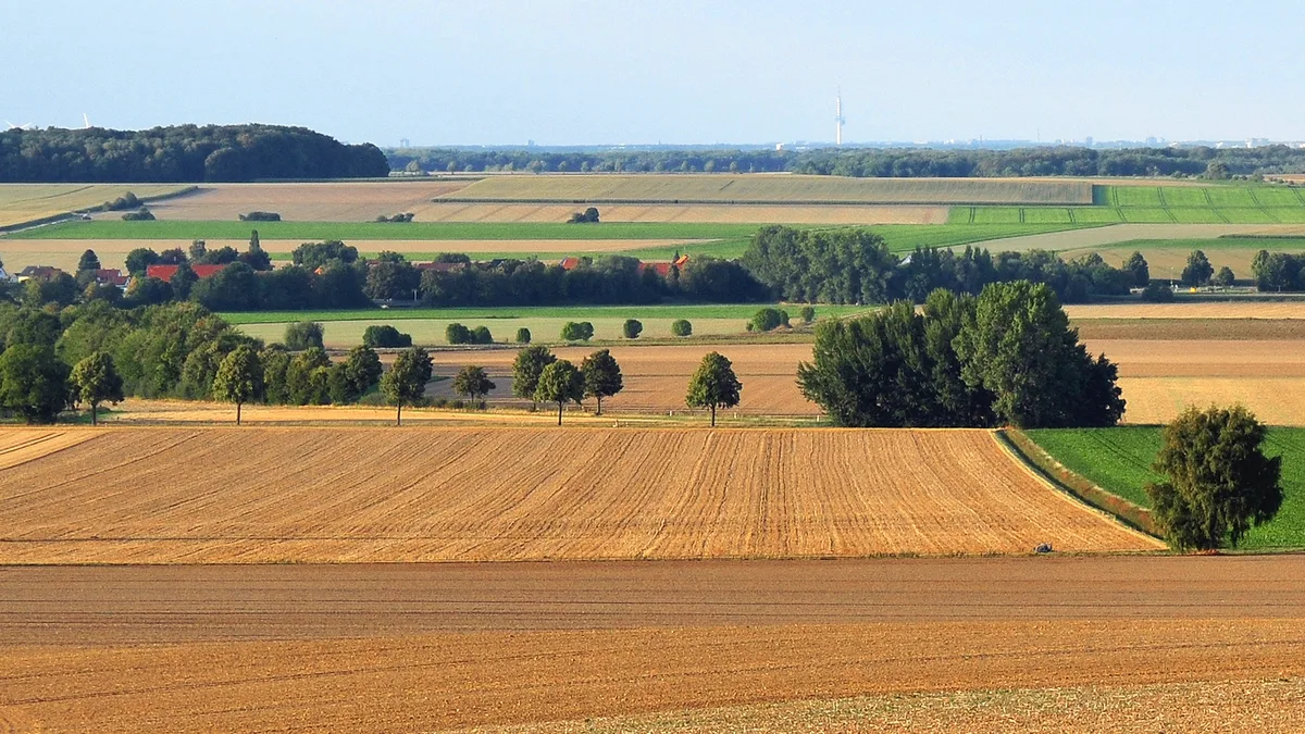 Telemax in Germany
