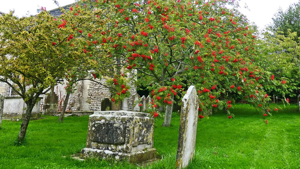 Sompting Church Tower in United Kingdom