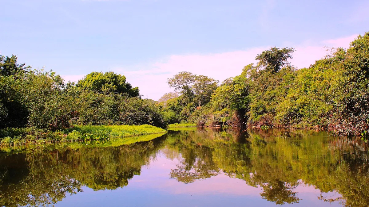 Pantanal Conservation Area in Brazil