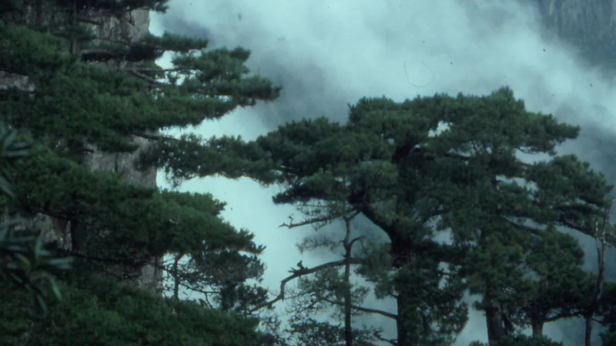 Mount Huangshan in China
