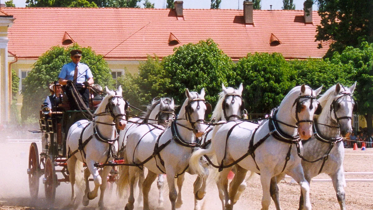 Landscape for Breeding and Training of Ceremonial Carriage Horses at Kladruby nad Labem in Czech Republic