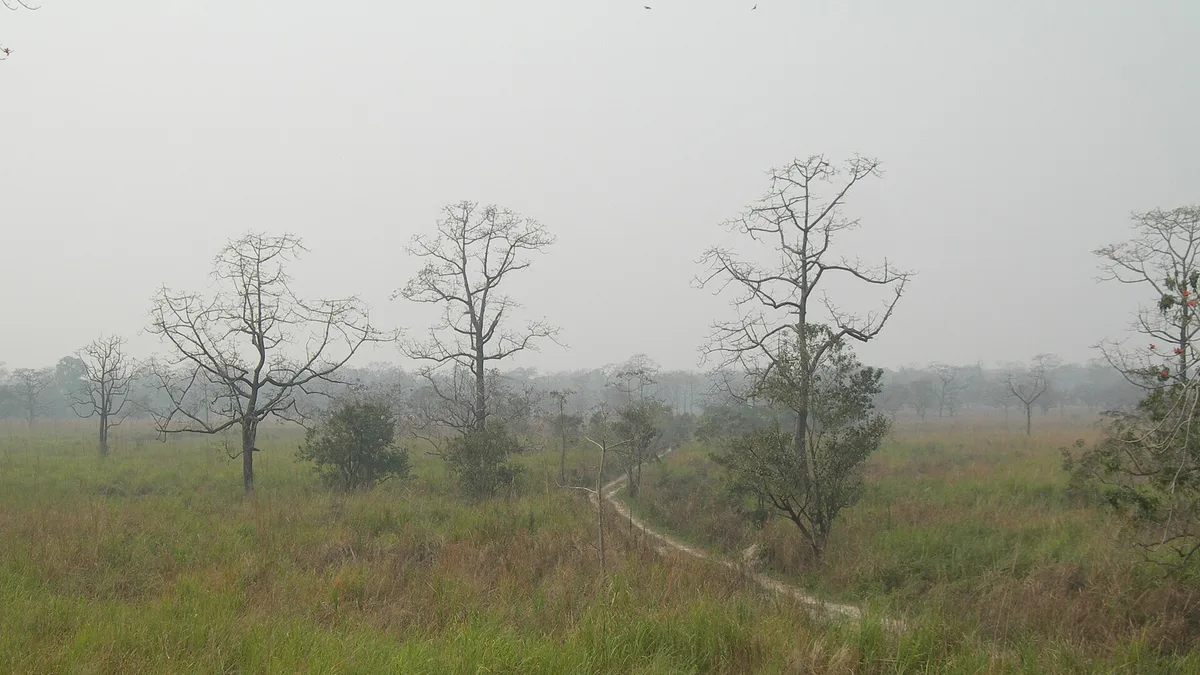 Manas Wildlife Sanctuary in India