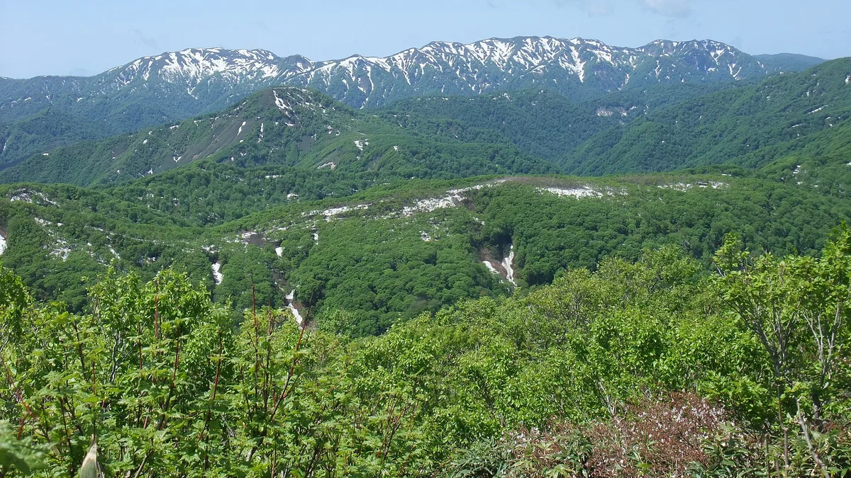 Shirakami-Sanchi in Japan