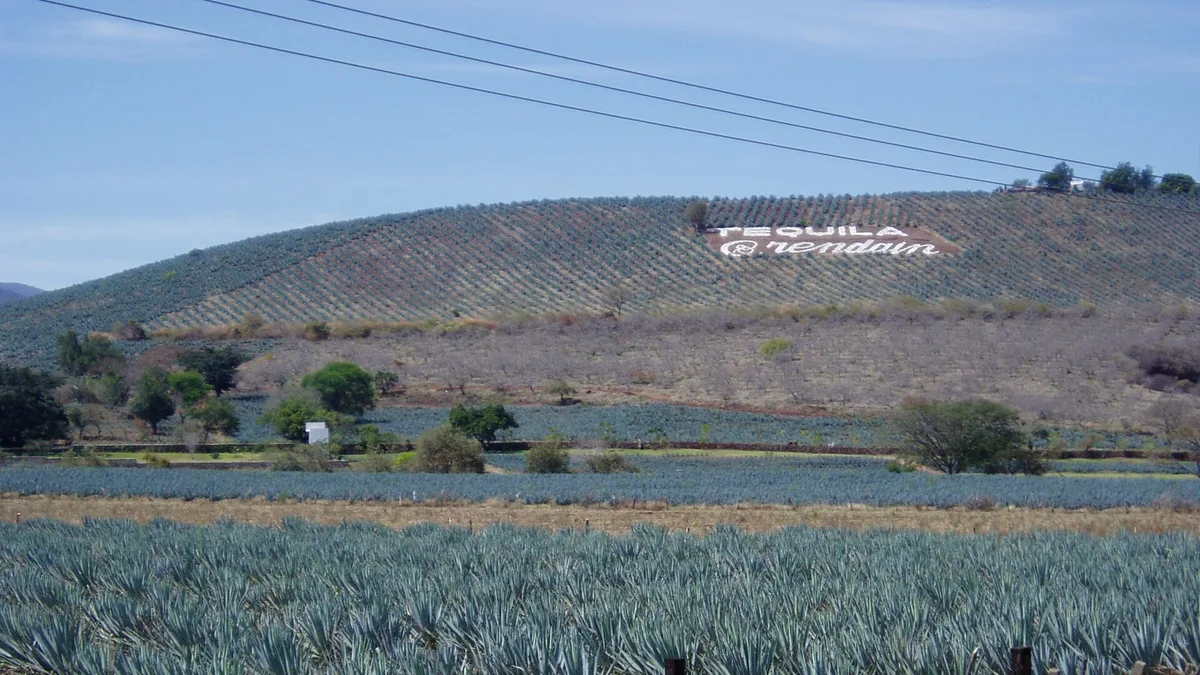 Agave Landscape and Ancient Industrial Facilities of Tequila in Mexico