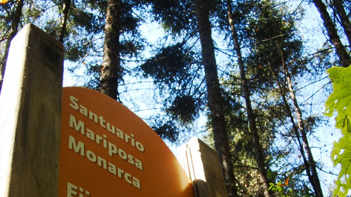 Monarch Butterfly Biosphere Reserve in Mexico