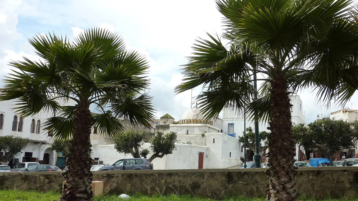 Rabat, Modern Capital and Historic City: a Shared Heritage in Morocco