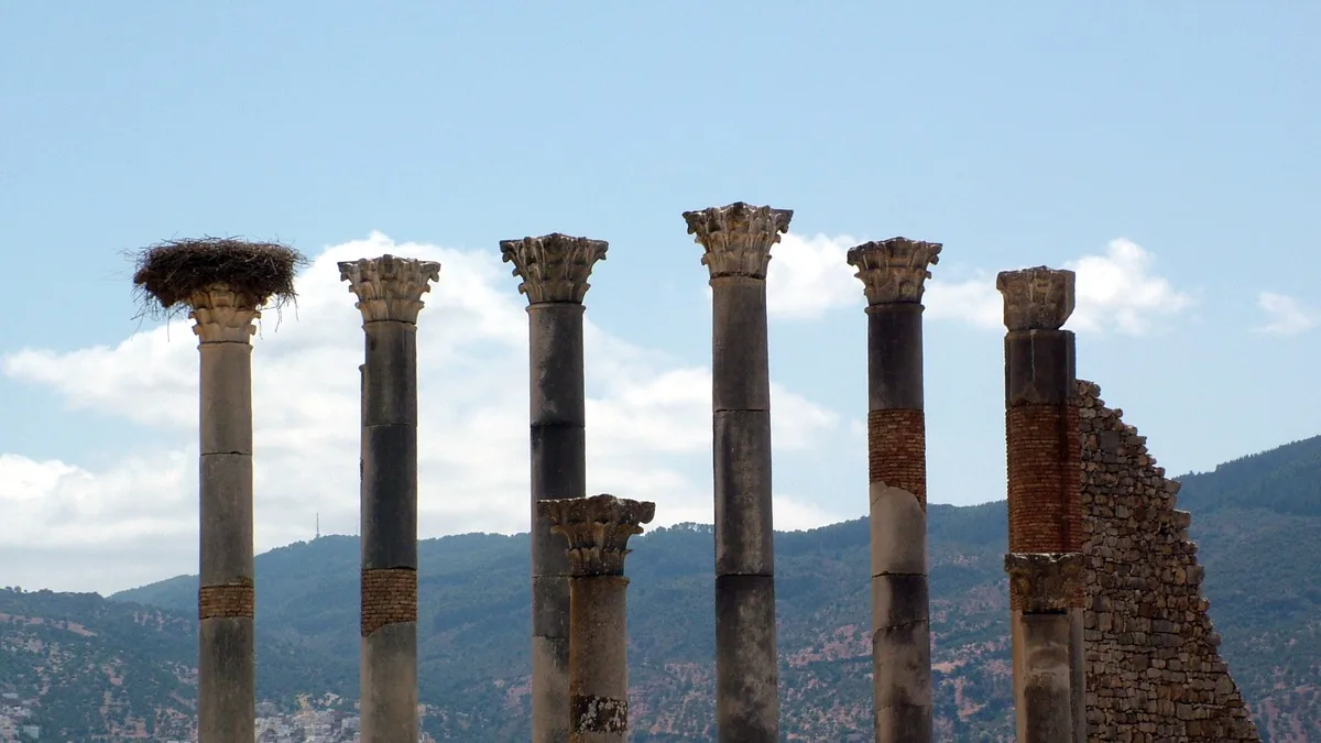 Archaeological Site of Volubilis in Morocco