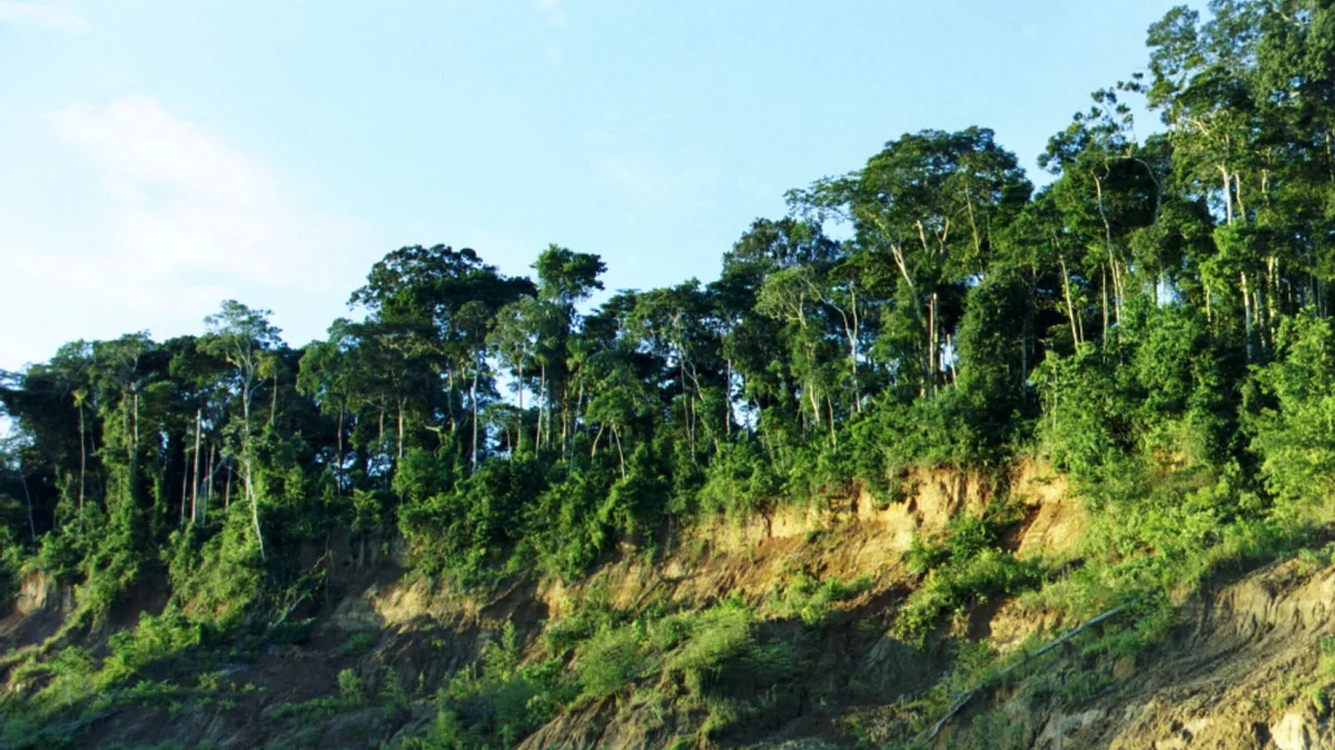 Manú National Park in Peru