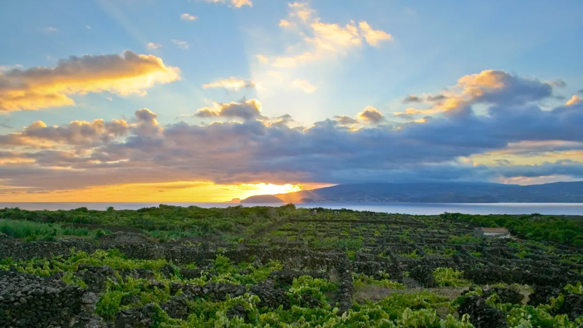 Landscape of the Pico Island Vineyard Culture in Portugal