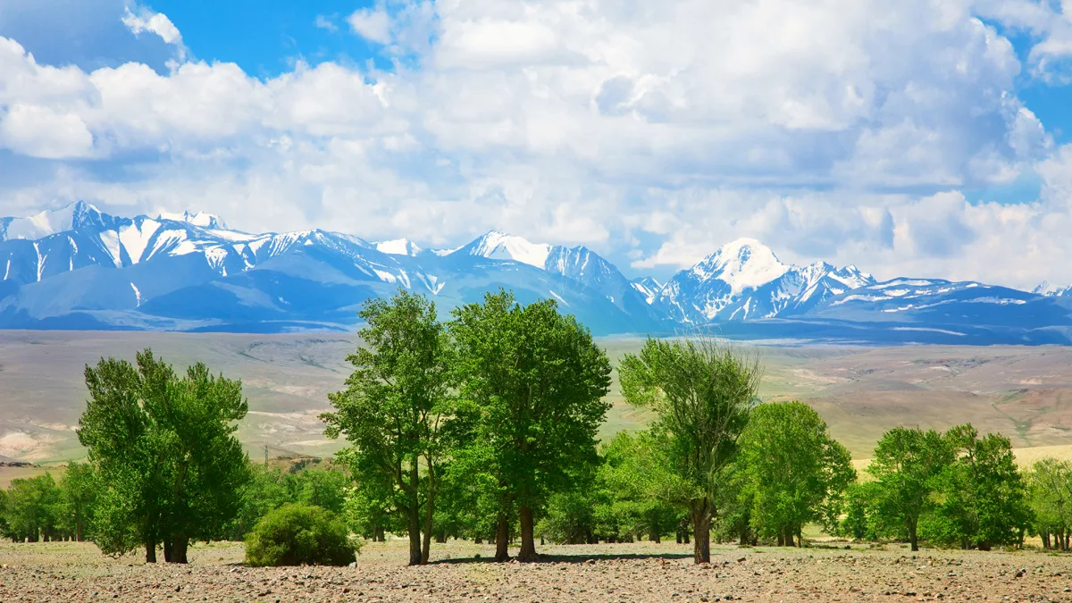 Golden Mountains of Altai in Russia