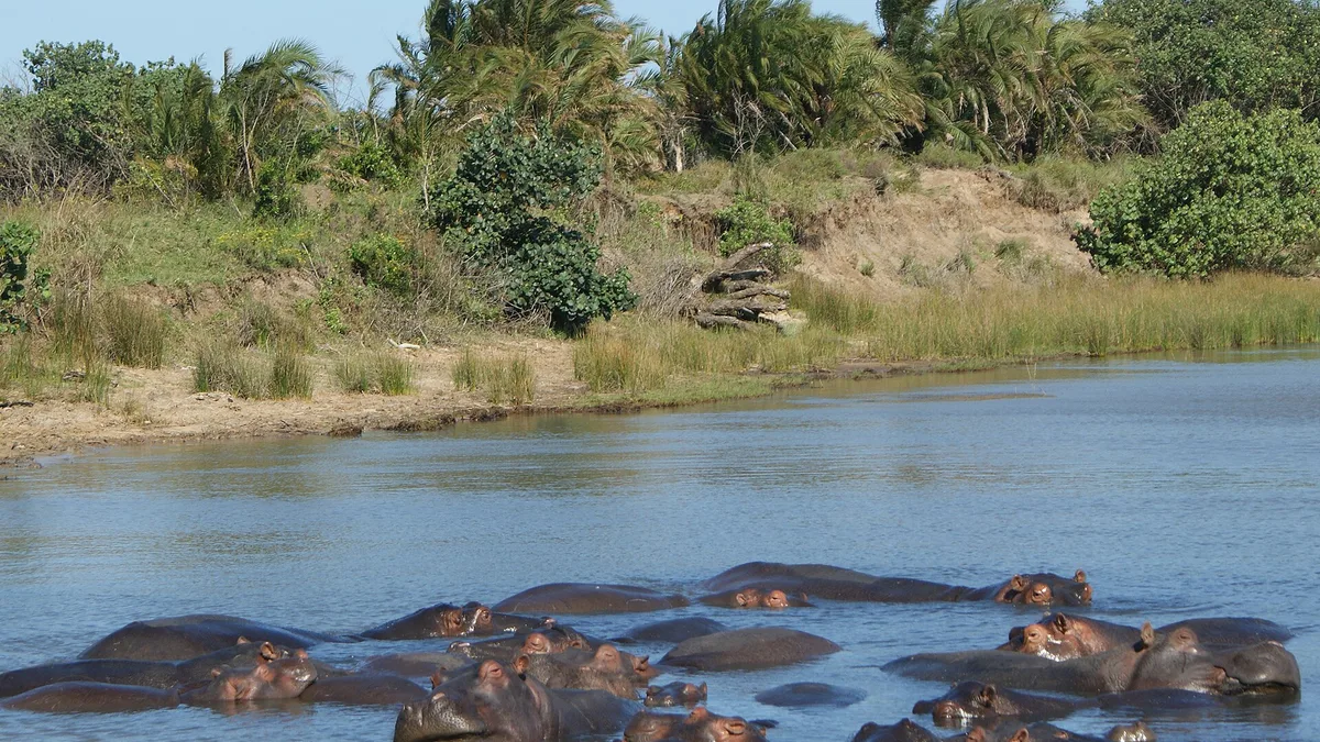 iSimangaliso Wetland Park – Maputo National Park in South Africa