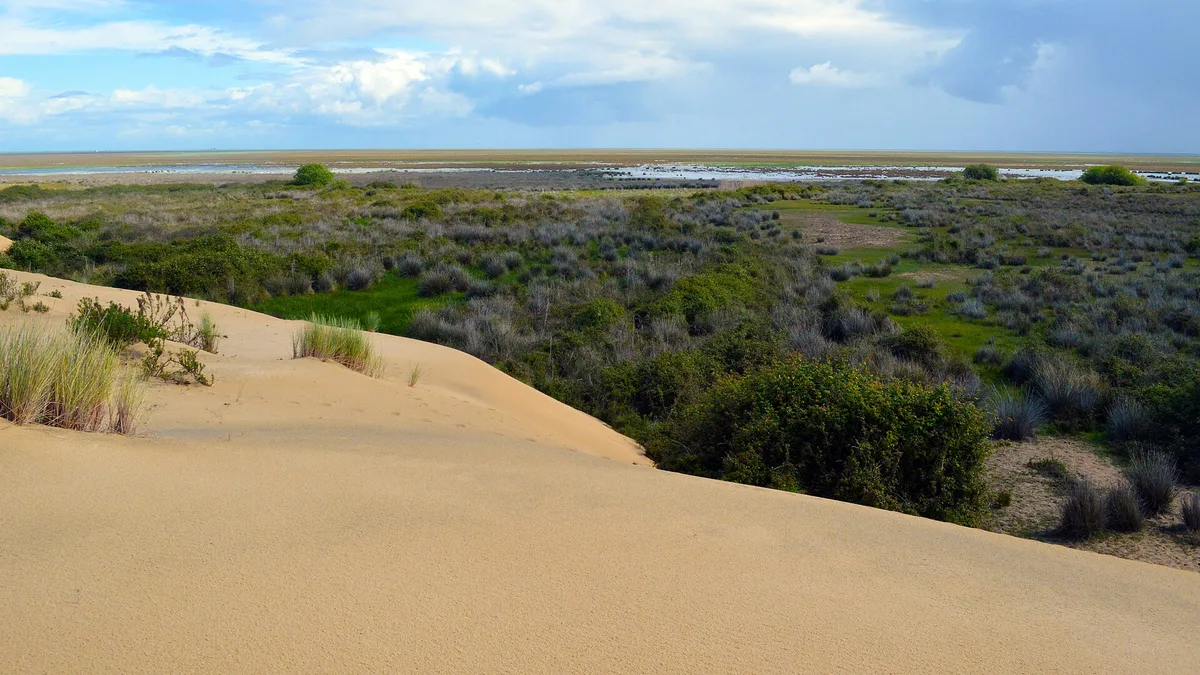 Doñana National Park in Spain
