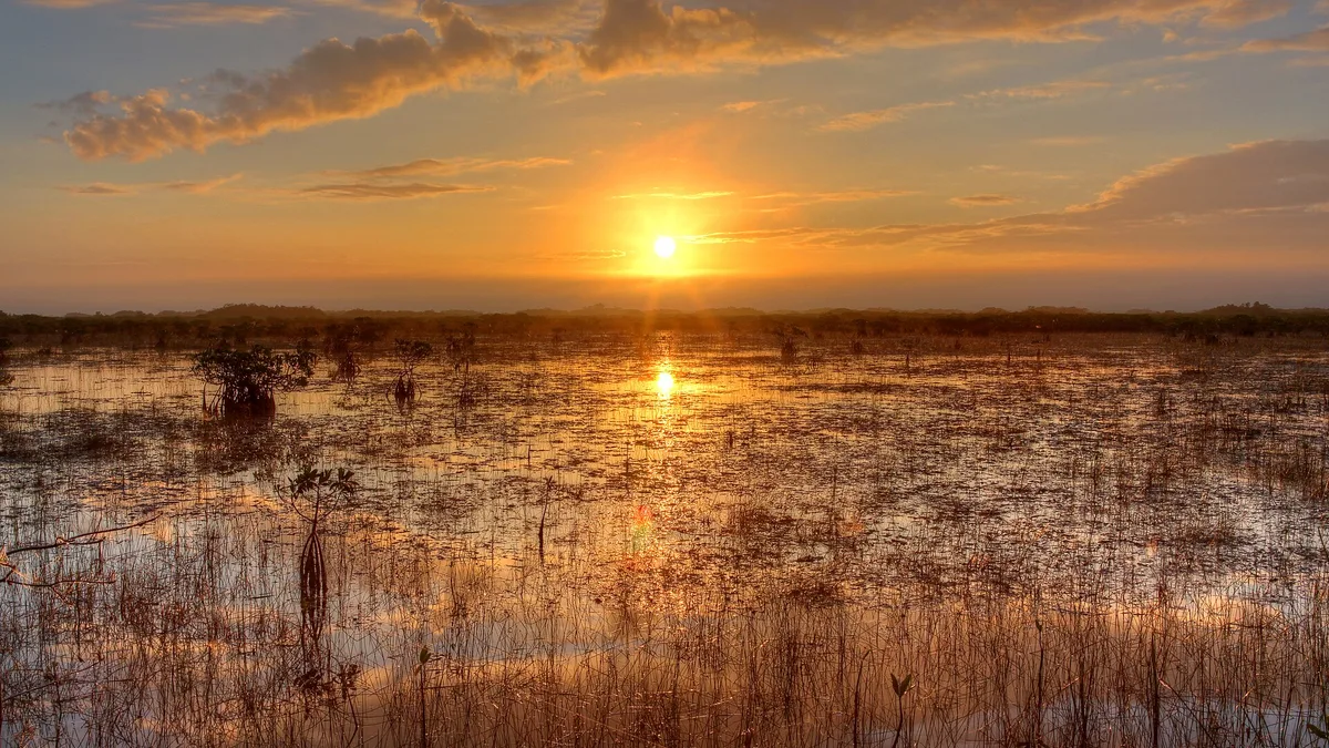 Everglades National Park in United States