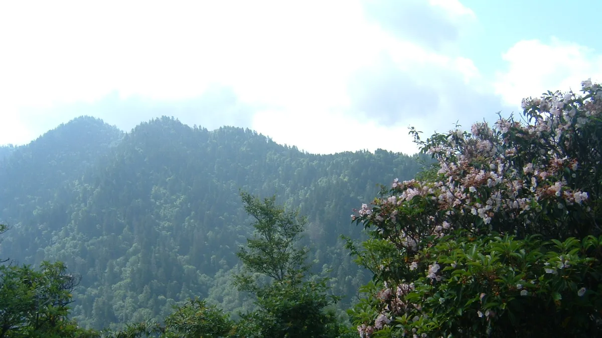 Great Smoky Mountains National Park in United States