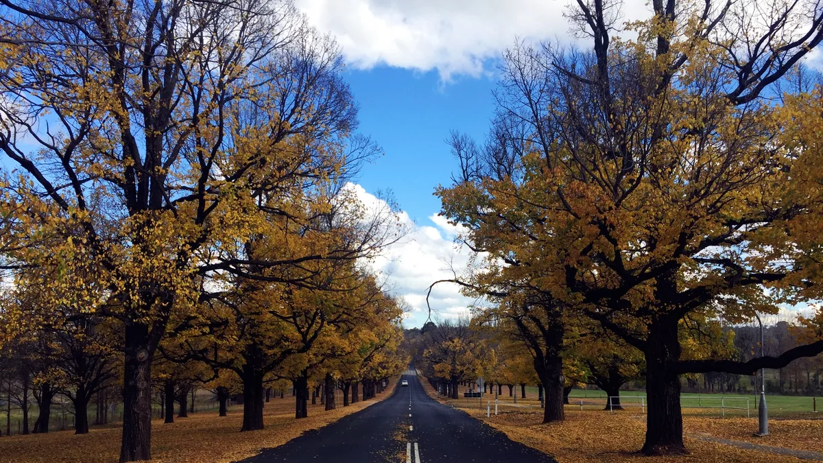 University of New England in Australia