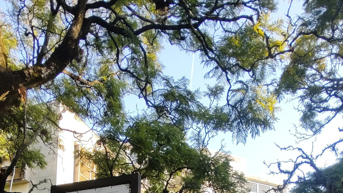Universidade Federal do Rio Grande do Sul in Brazil