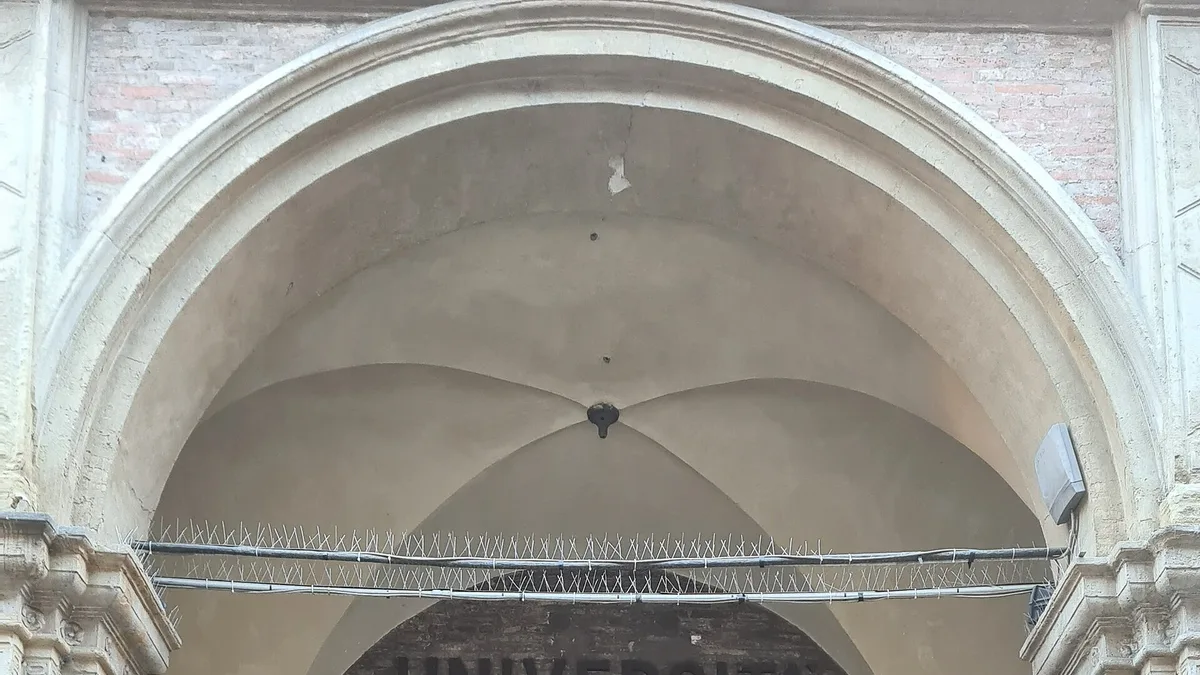 University of Bologna in Italy