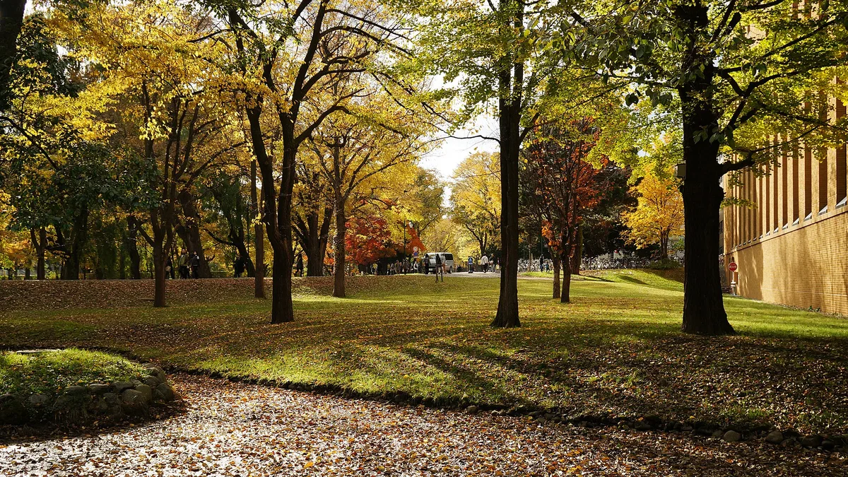 Hokkaido University in Japan