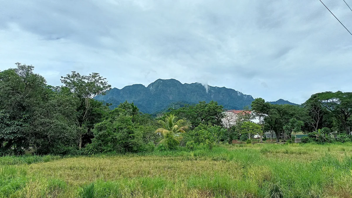 Visayas State University in Philippines