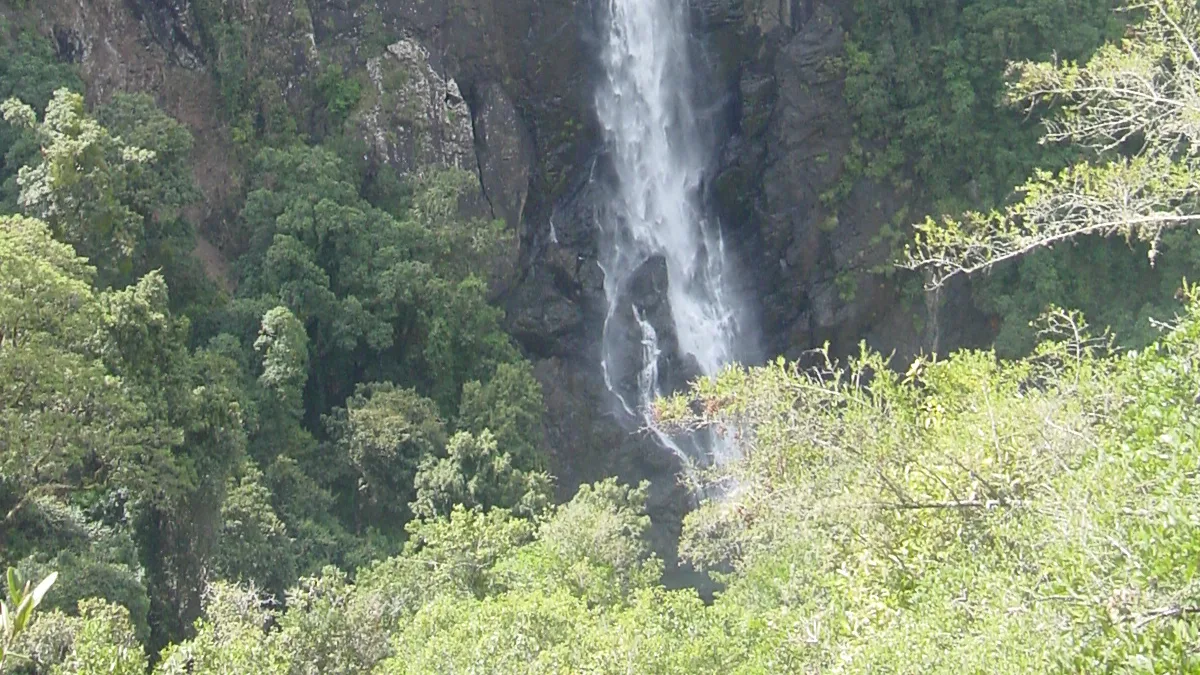 Ellenborough Falls in Australia